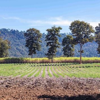 Farming near mountains.