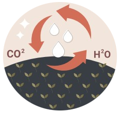 Circle showing the cyle of CO2 and HO2