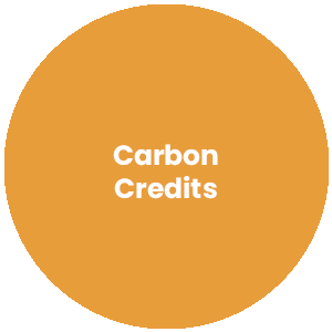 Circle with the words Carbon Credits in the center