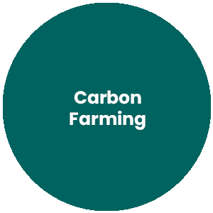 Circle with the words Carbon Farming in the center
