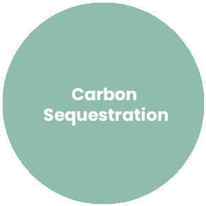 Circle with the words Carbon Sequestration in the center