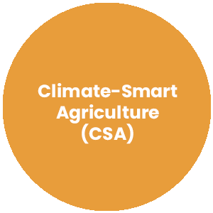 Circle with the words Climat Smart Agriculture in the center