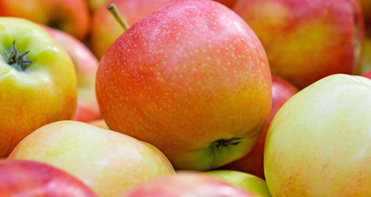 Identifying Winning Cultivars