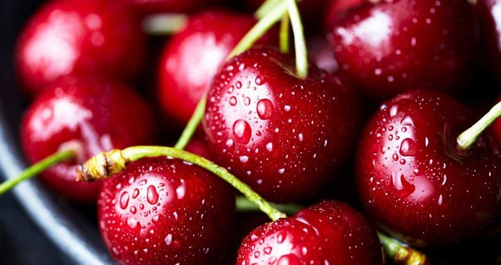 Macro shot of bright red cherries with stems and water droplets