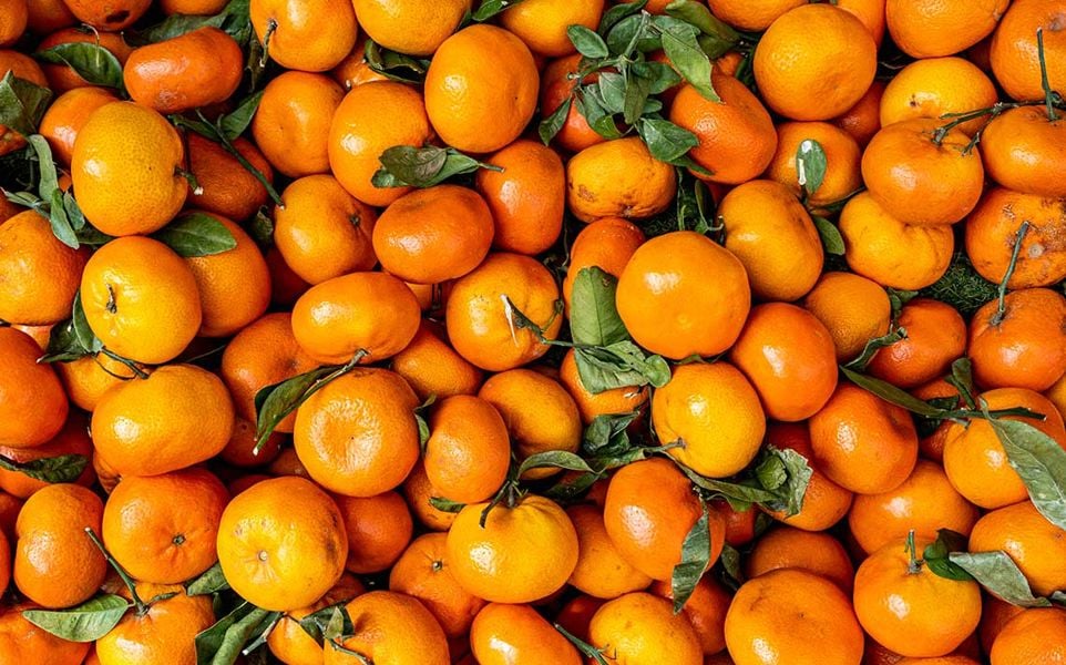 A pile of ripe clementines with some green leaves attached.