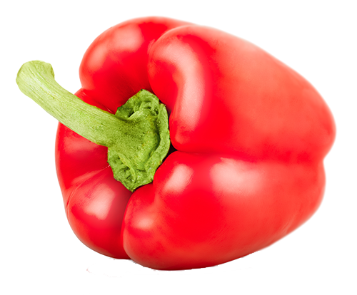 Isolated image of a red bell pepper