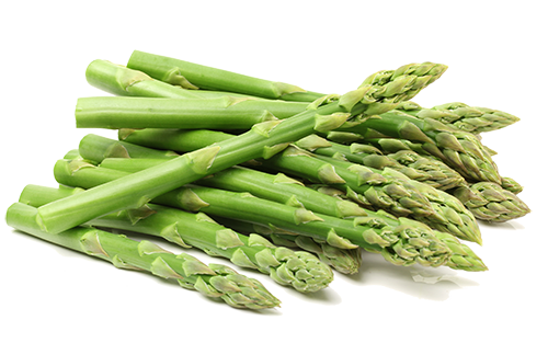 Fresh green asparagus on white background. Fresh green asparagus on white background.