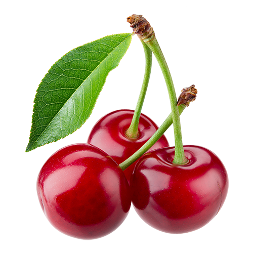 Cherry with leaves isolated on white background. Cherry with leaves isolated on white background.