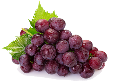 A bunch of red grapes A bunch of red grapes