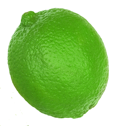 A single green lime A single green lime