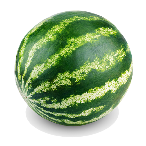 Ripe single full watermelon isolated on white background. Ripe single full watermelon isolated on white background.