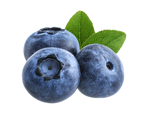 Three whole blueberries Three whole blueberries
