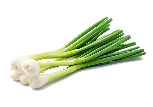 green onions green onions