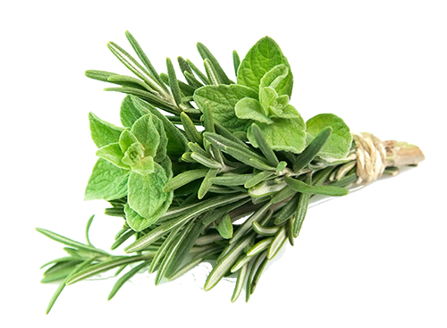 bunch of herbs held together with a rubberband bunch of herbs held together with a rubberband