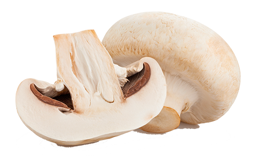 whole and sliced mushroom