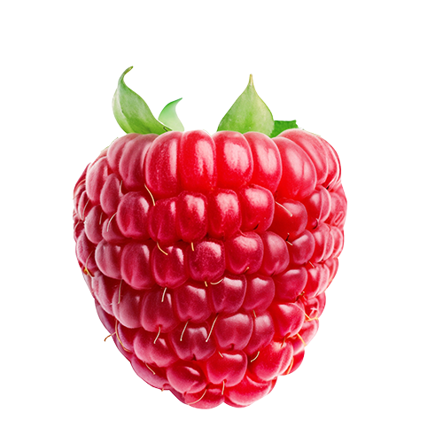 Isolated red raspberry.