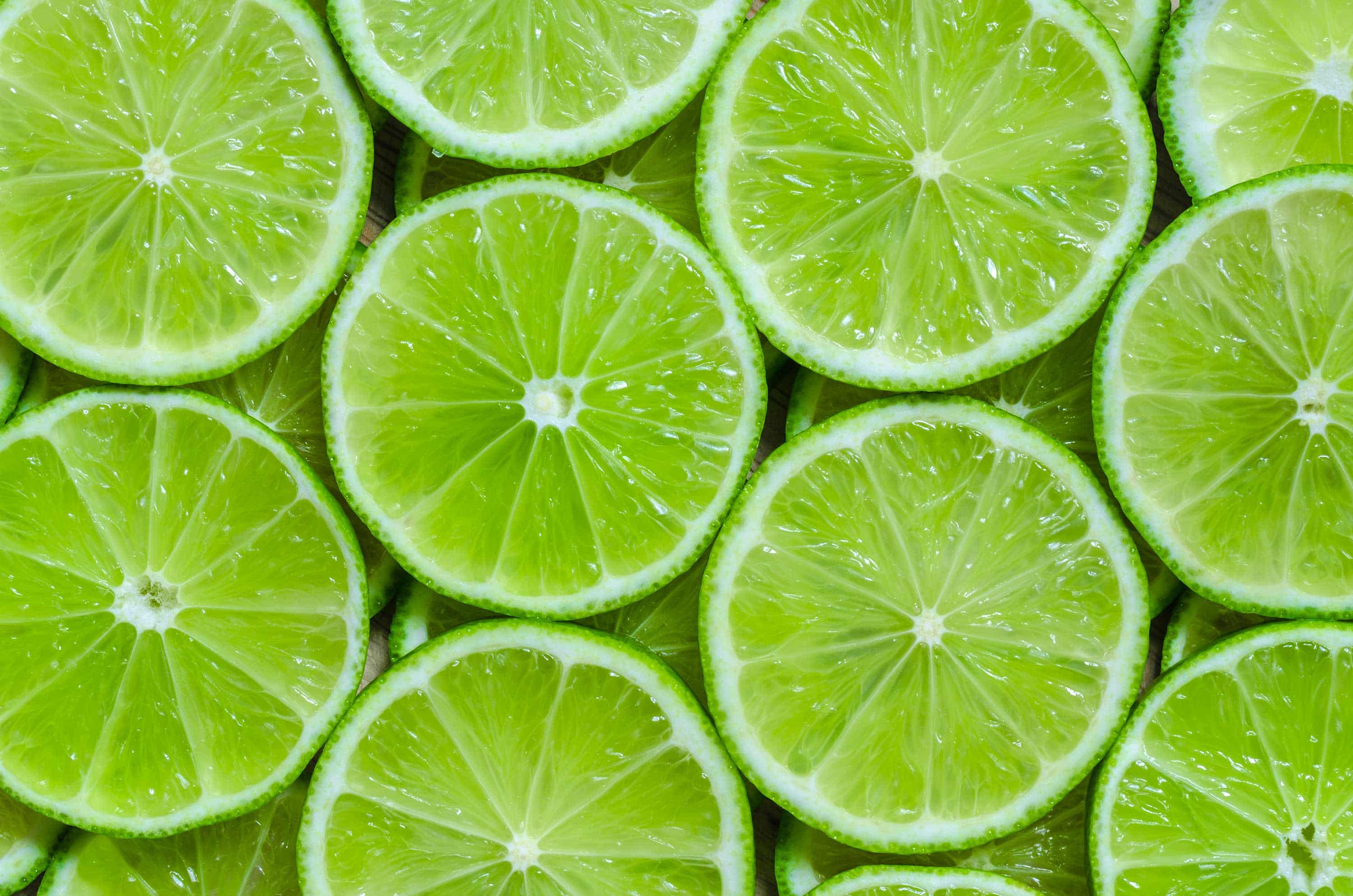 U.S. Lime Market Report 20212022