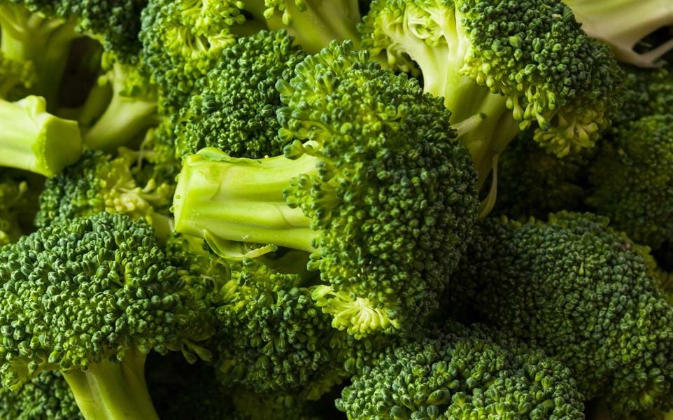 Close-up view of multiple fresh green broccoli heads.