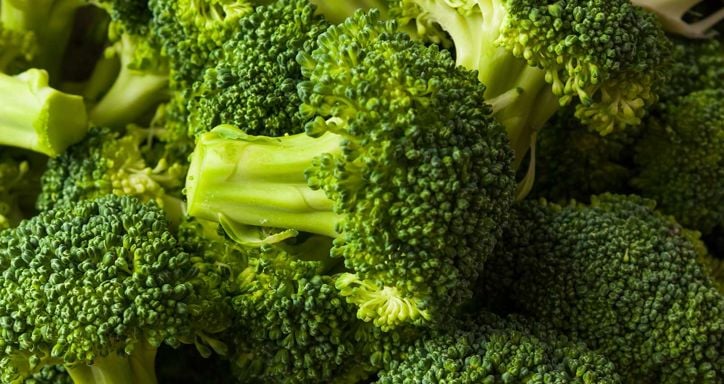 Close-up view of multiple fresh green broccoli heads.