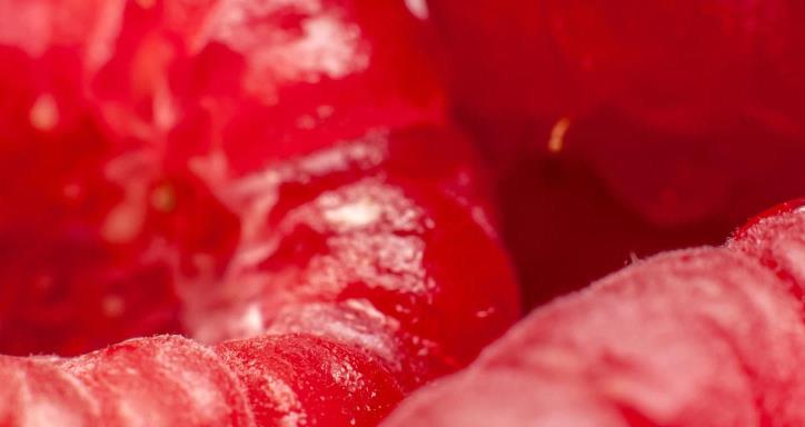closeup of red raspberries