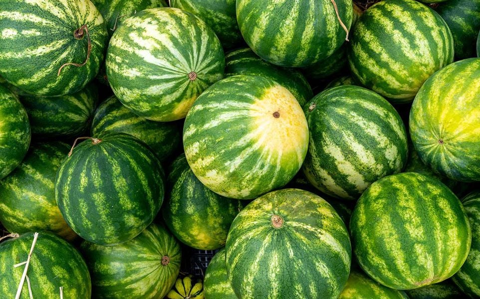 A pile of green watermelons with striped patterns.