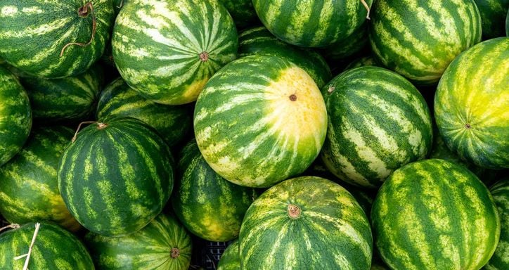 A pile of green watermelons with striped patterns.