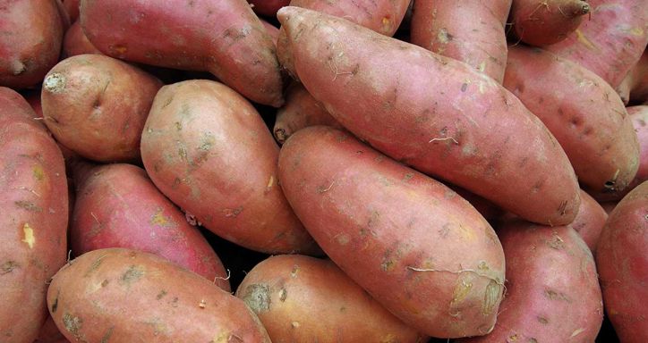 A close-up of a pile of reddish-brown sweet potatoes.