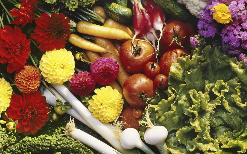 A wide variety of vegetables and flowers spread out