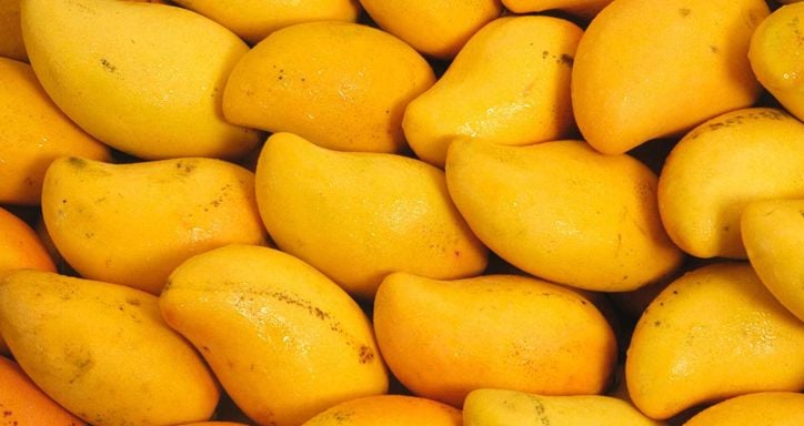 Close-up of ripe yellow mangoes with some black spots.