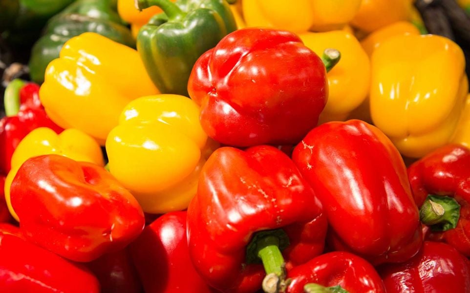 A pile of red, yellow, and green bell peppers.